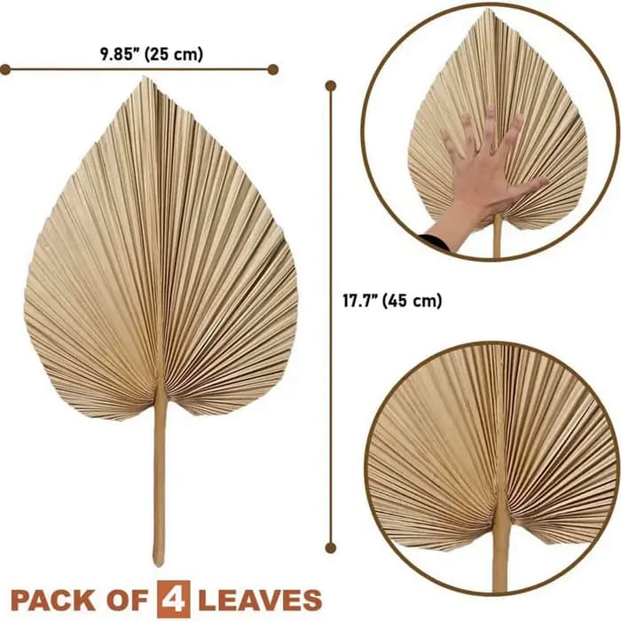 8 feuilles de palmier séchées naturelles