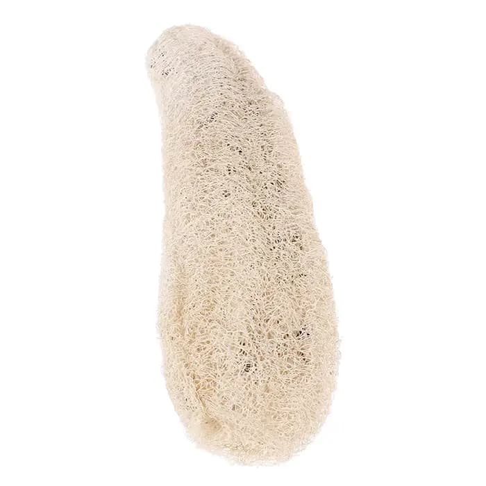 Luffa Loofah naturel non transformé