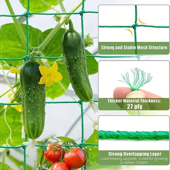 Maille de jardin robuste