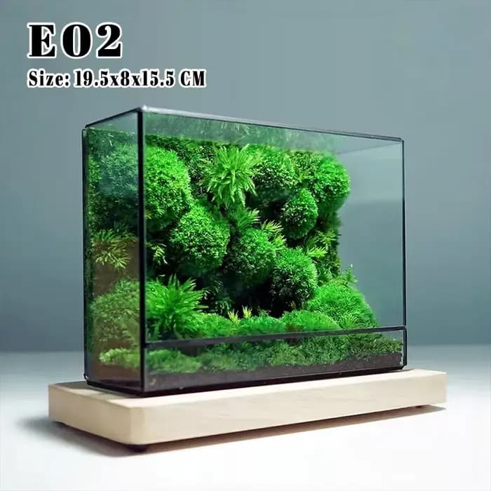 Mini terrarium écologique en verre pour forêt tropicale, mousse et fougères, carré, géométrique, miniatures, vase à plantes, conteneur, serre de table