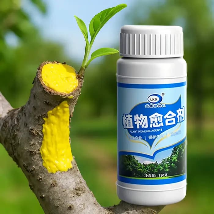 Pâte cicatrisante pour plaies végétales des arbres fruitiers