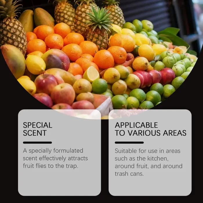 Appât piège à mouches pour fruits