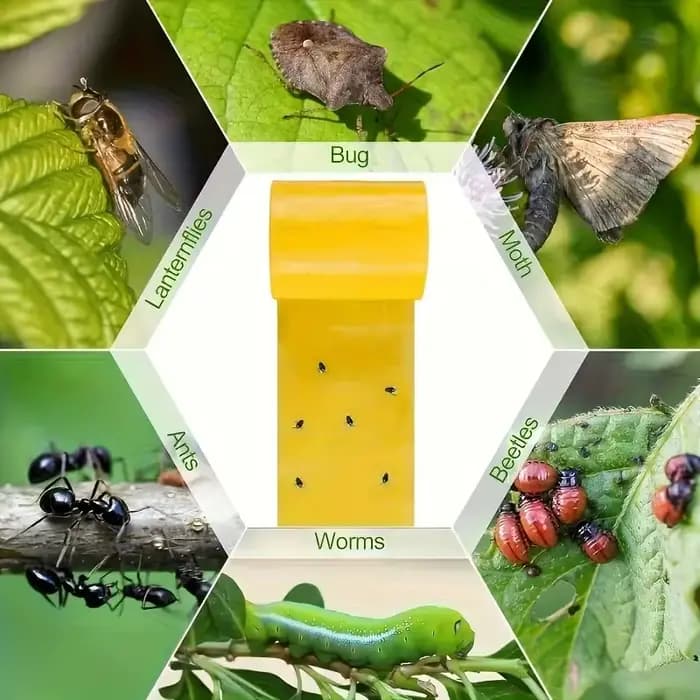1 rouleau de ruban adhésif Double face pour barrière contre les insectes