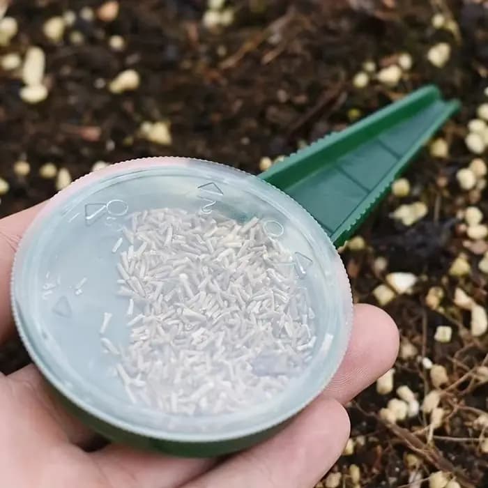 Sower de graines de plantes