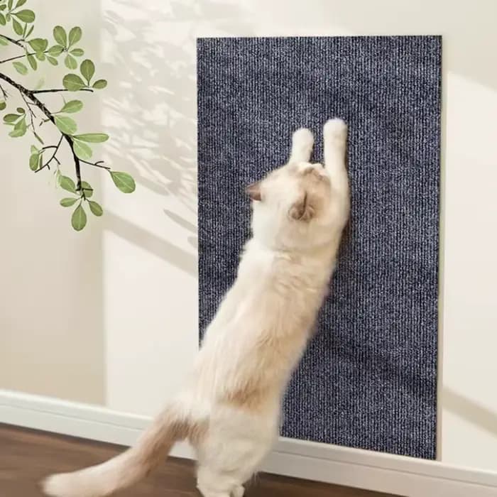 Canapé auto-adhésif anti-rayures pour chat
