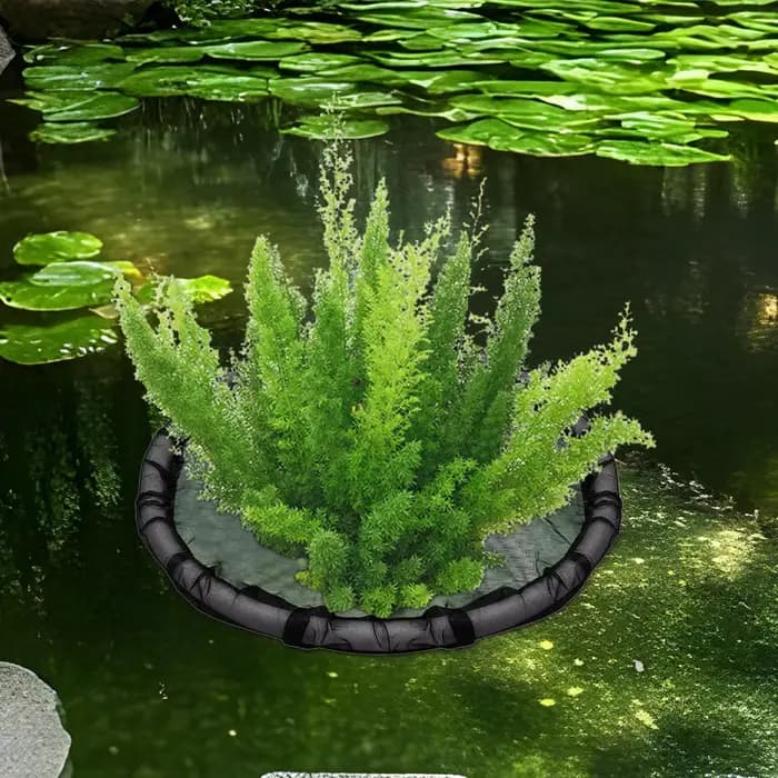 Barrière flottante pour plantes