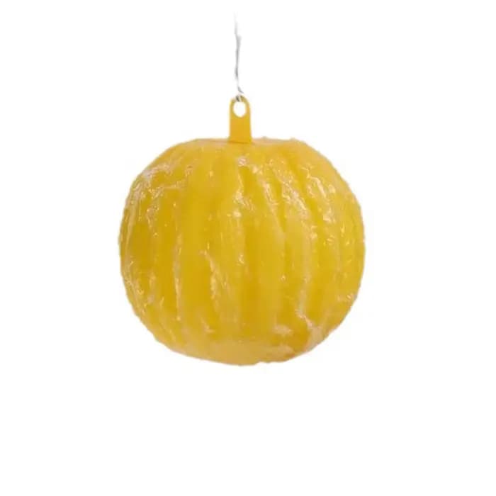 Pièges à mouches à fruits