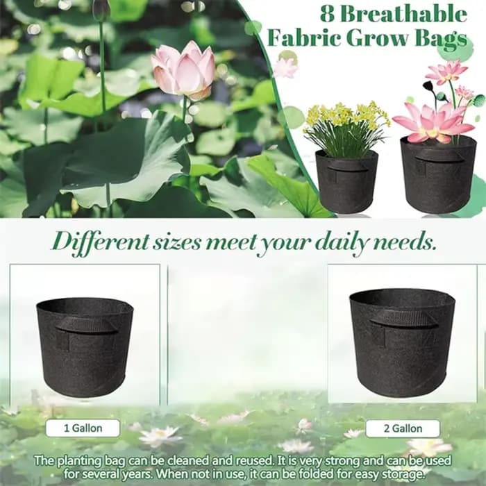 Pots de plantes de lys VELIF-8Pack pour étang