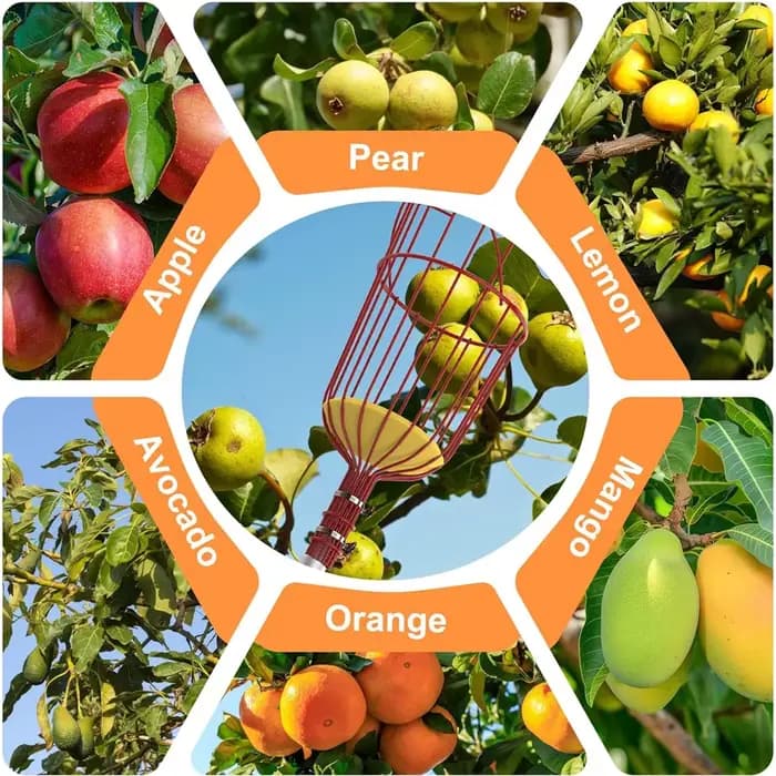 Nouvel Outil de Récolte de Fruits
