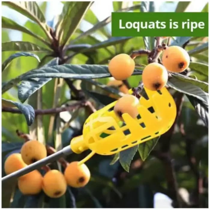 1 pièce Outil de cueillette de fruits et de récolte en plastique pour la ferme et le jardin