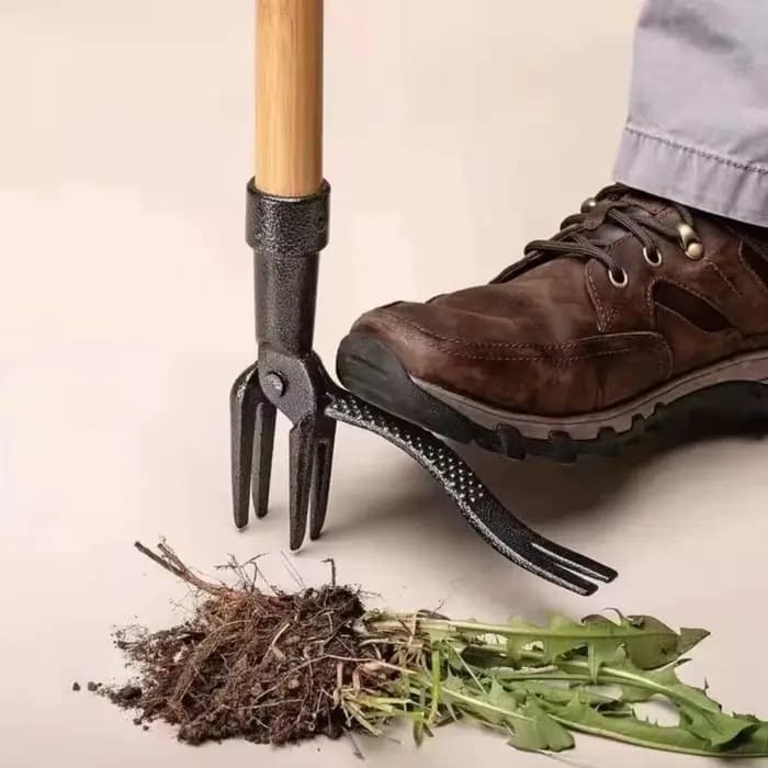 Outil de désherbage manuel robuste en acier à 4 griffes pour jardin