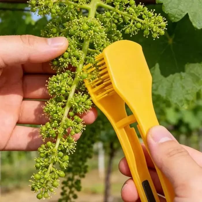 Pince à élaguer manuelle pour bourgeons de vigne