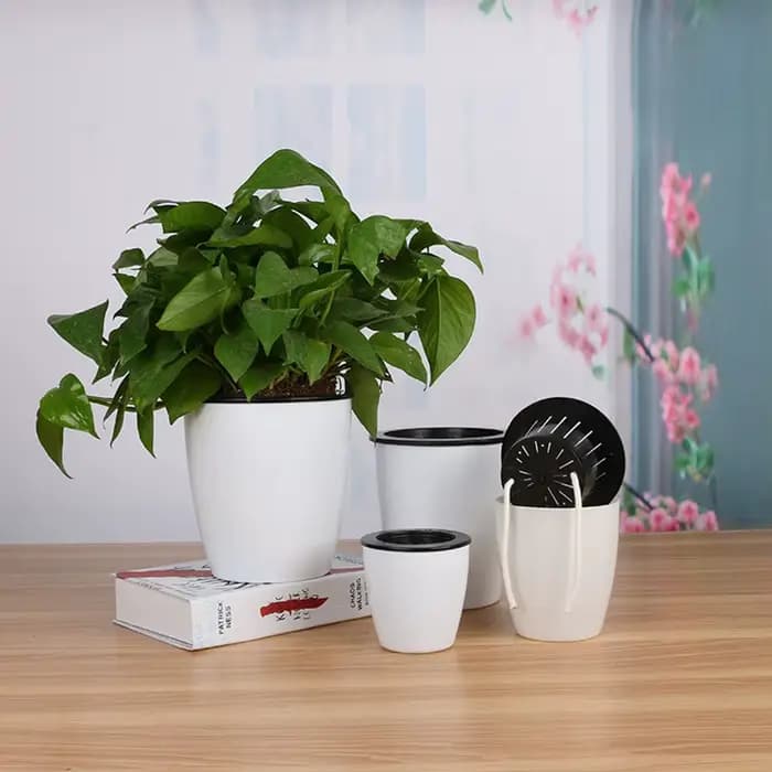 Pot de fleurs pour plantes paresseuses