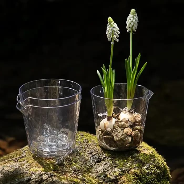 Paquet 6 porte-fleurs en plastique avec fonction d'arrosage automatique pour fleurs petits buissons d'intérieur B03E