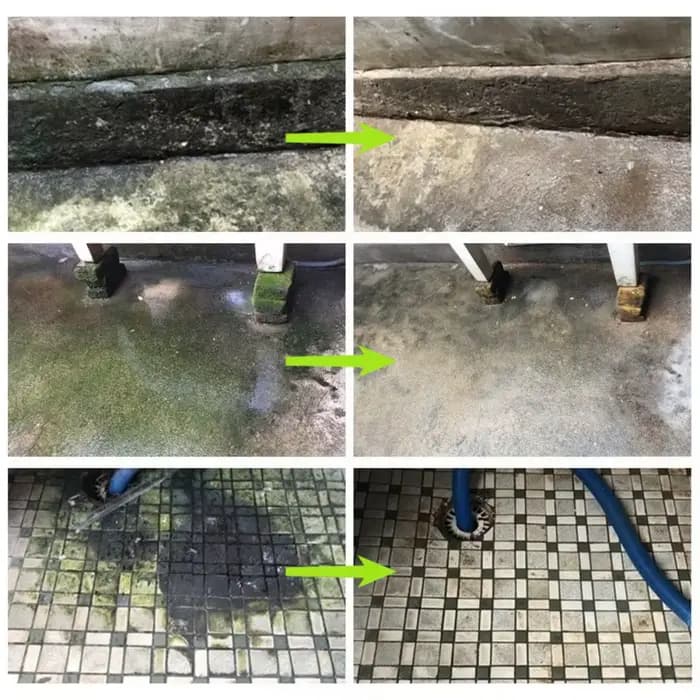 Spray pour éliminer les algues du mousse et du Lichen