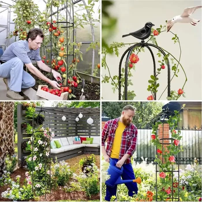 Support de grimpement en métal antirouille pour plantes en pot
