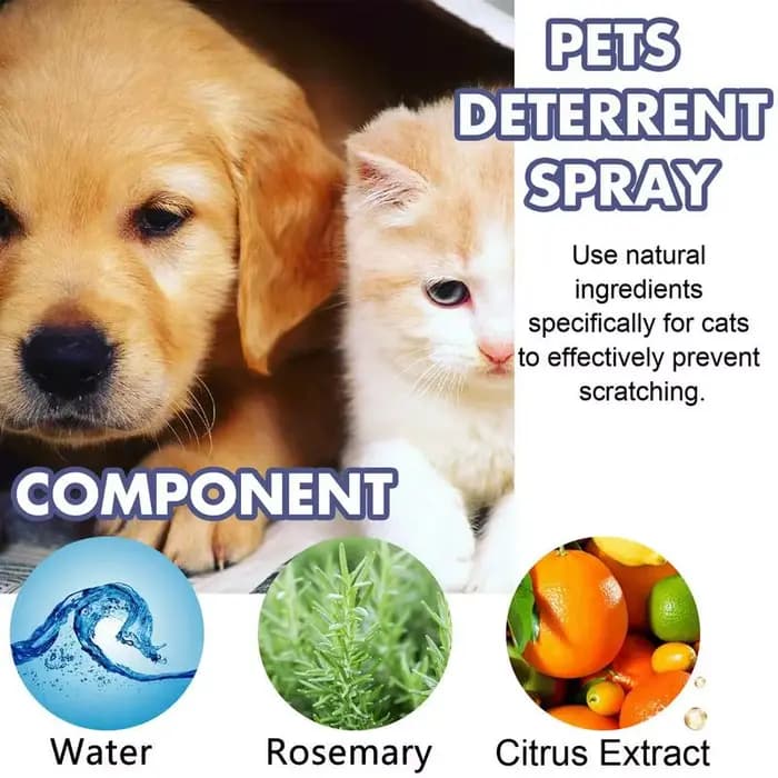 Spray anti-rayures pour chat