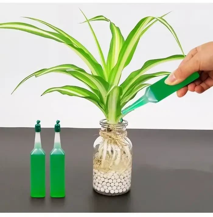 Engrais liquide pour plantes hydroponiques