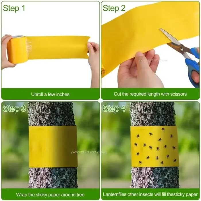 Piège à insectes extérieur pour frelons