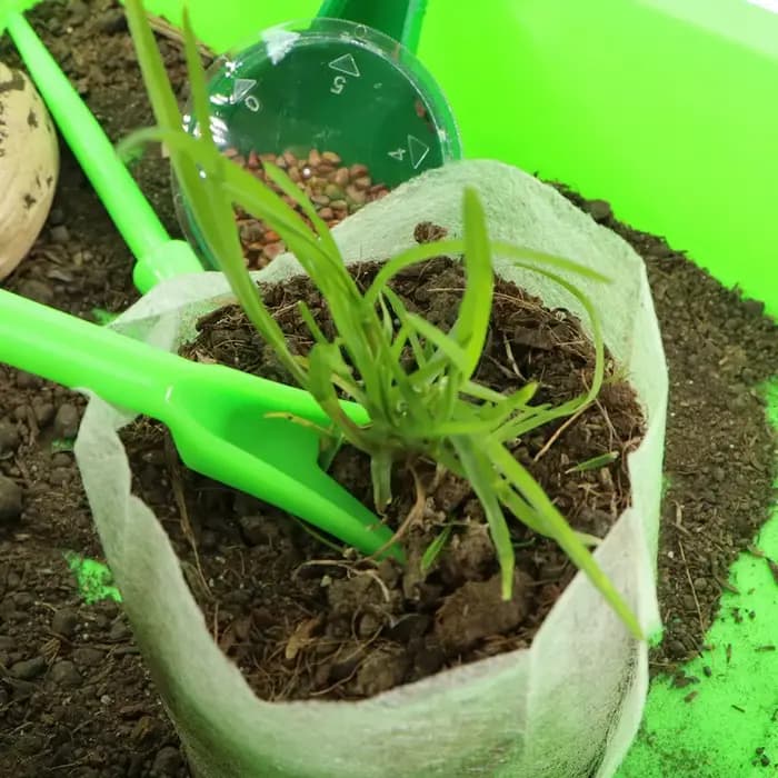 Mini Semoir de Seringue de Précision pour Jardin