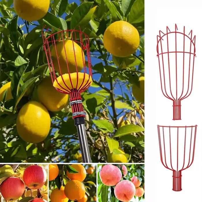 Nouvel Outil de Récolte de Fruits