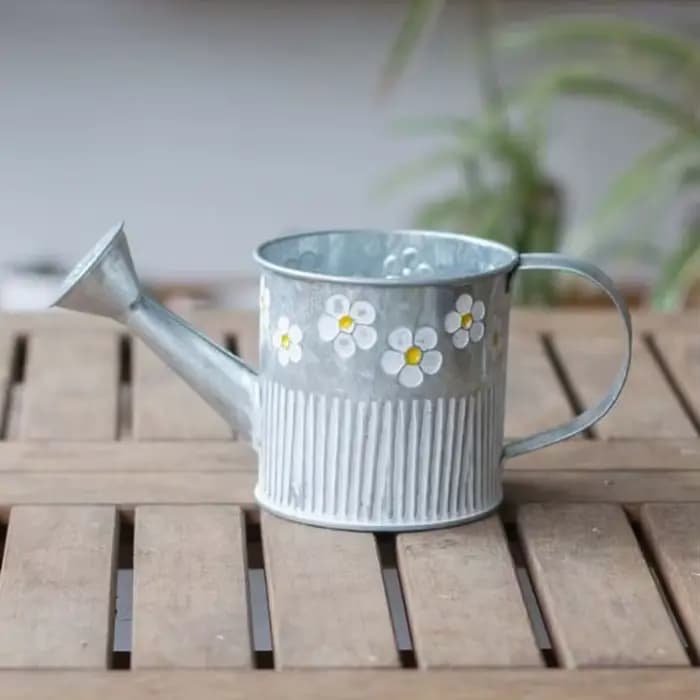 Pot de fleur en fer vintage pour plantes