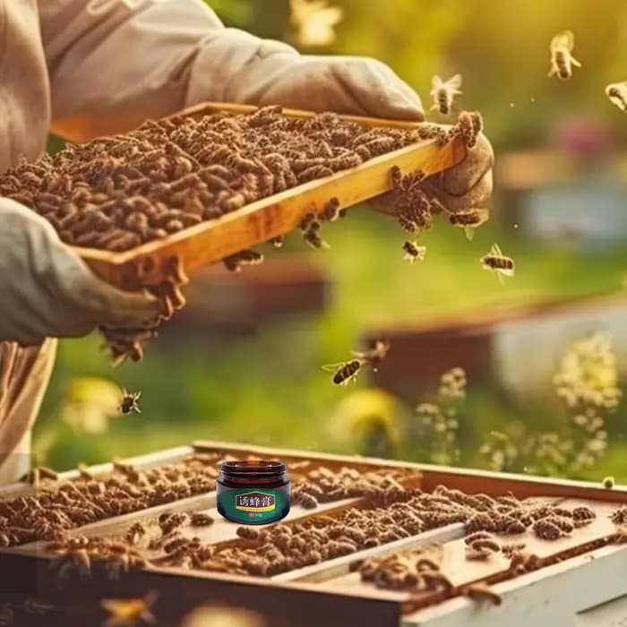30g Baume Attrape-Abeilles d'Entonnoir