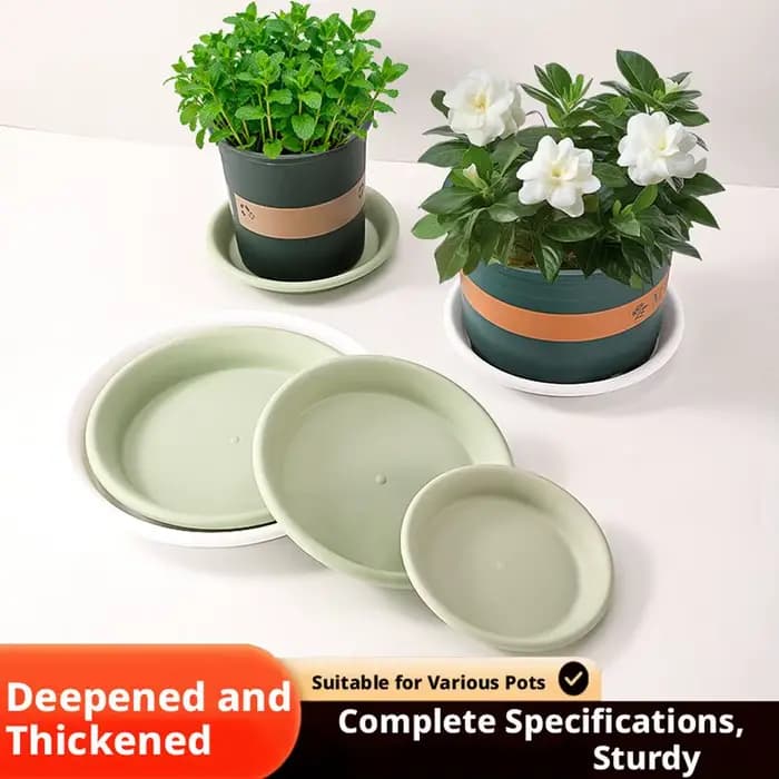 Soucoupe Ronde Épaissie pour Plantes