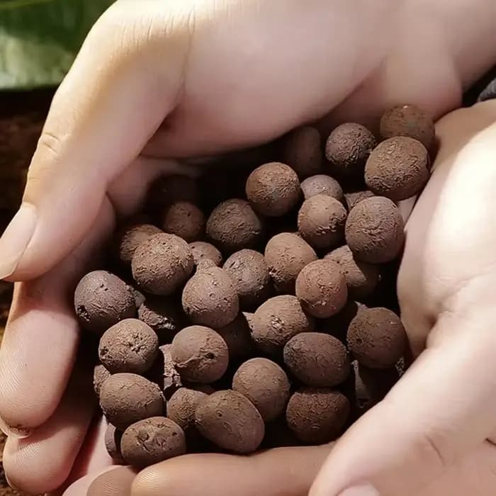 Boules Leca en argile pour plantes