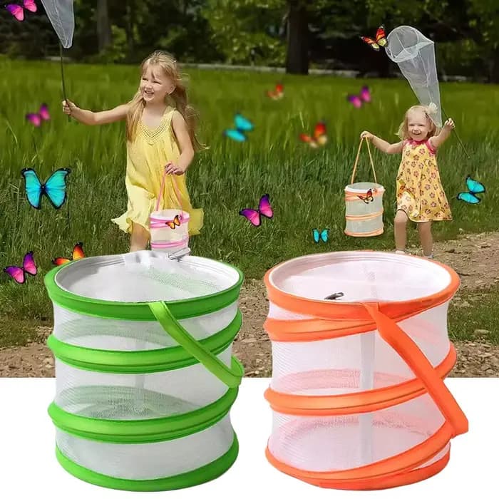 Cage à insectes pliable pour l'observation des chenilles et des papillons