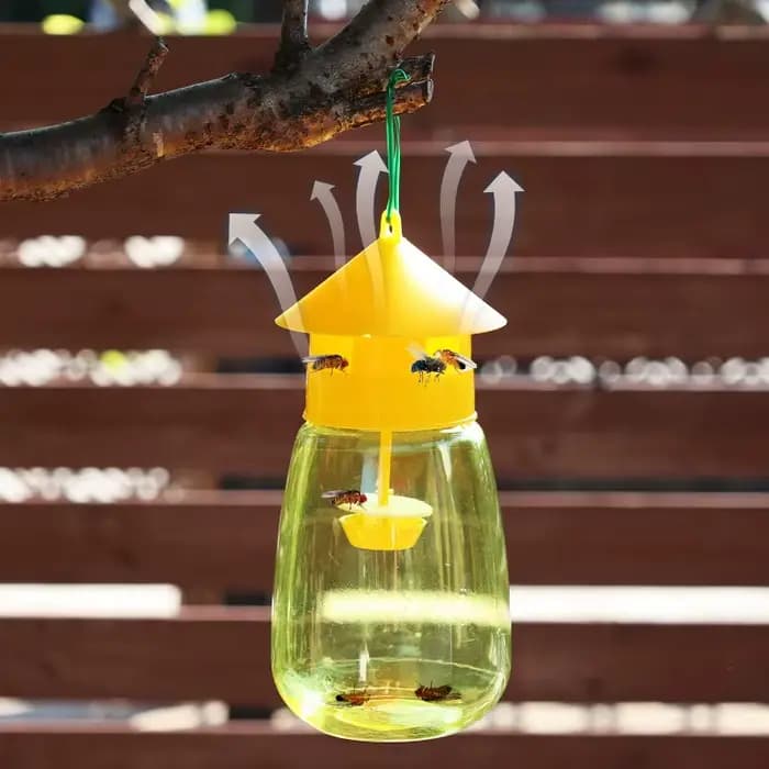 Piège à phéromones liquide pour mouches des fruits