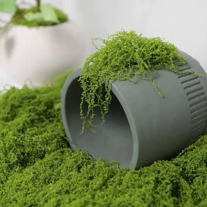 30/50/100g plantes vertes artificielles mousse herbe maison salon jardin décoration Mini paysage fausse fleur bricolage artisanat