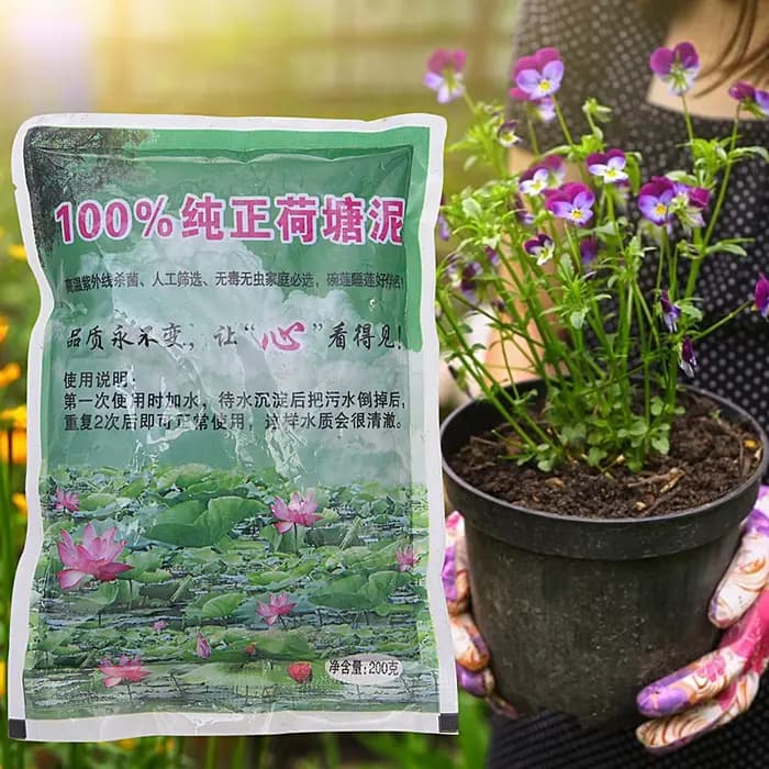 Substrat nutritif pour plantes aquatiques