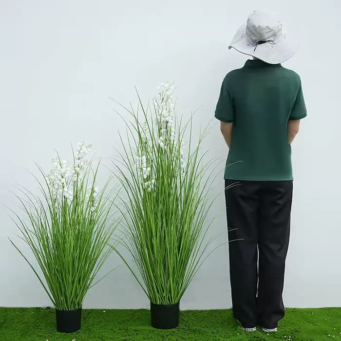 Grandes Plantes Vertes de Bellflower