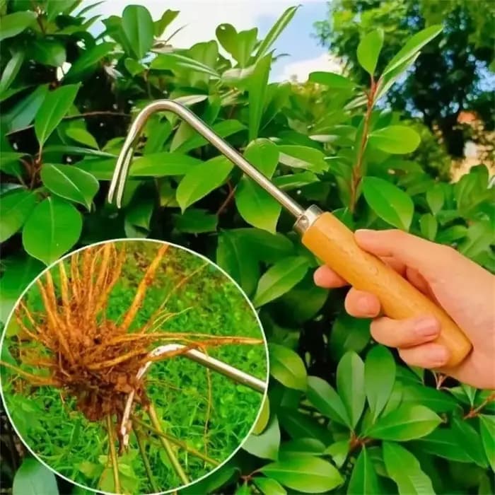 Désherbeur de jardinage en acier inoxydable