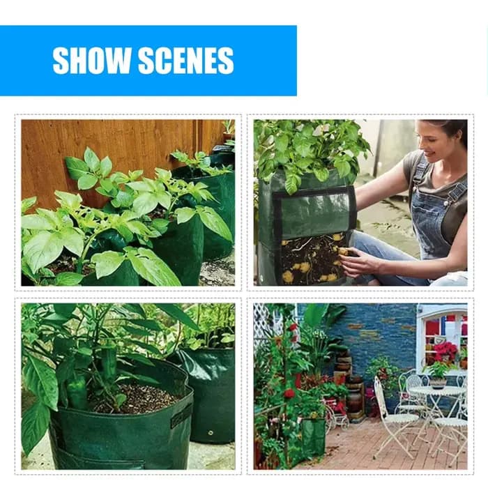 Sac de culture pour plantes de tomates