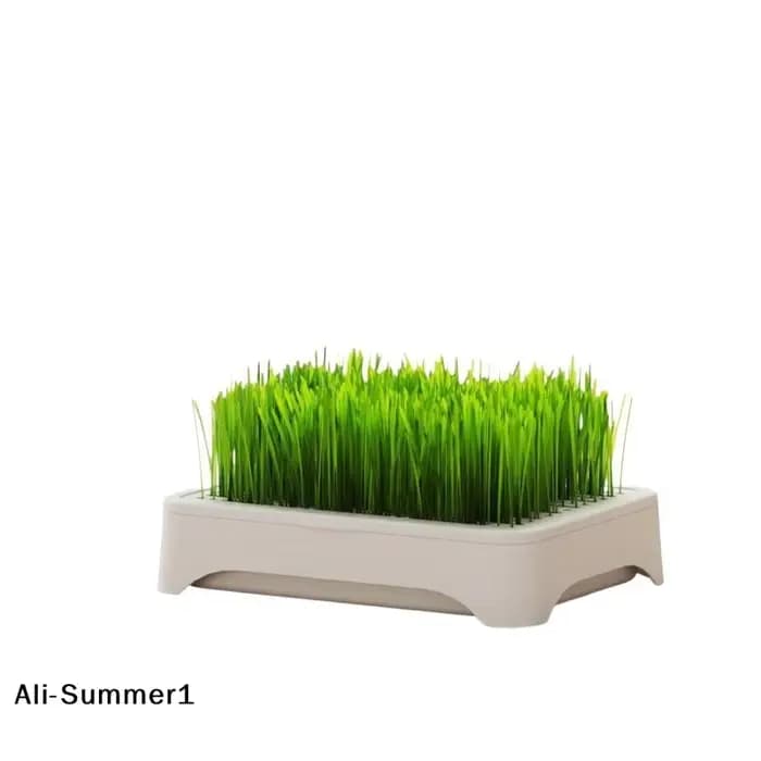 【E】Pot de culture hydroponique pour herbe à chat