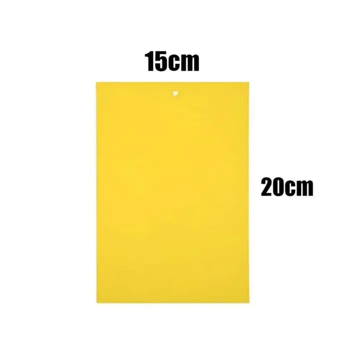 Piège collant double face pour insectes
