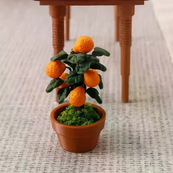 Miniature d'oranger en pot