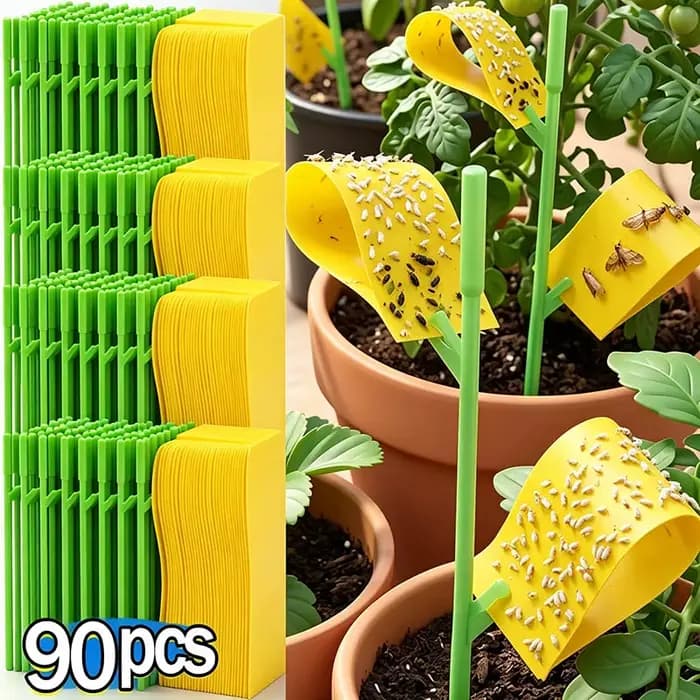 Pièges à insectes collants jaunes pour jardinage