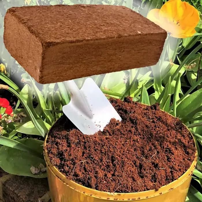 Sol nutritif de culture biologique sans sol, 600g, haute rétention et Ventilation d'eau pour le jardinage, sac pour plantes de graines