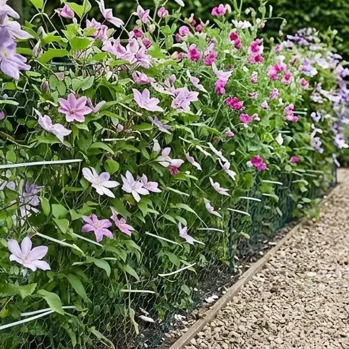 Rouleau clôture pour zone fleurie 3 mètres x 10 avec fil fer vert attaches fixation pour bordure jardin