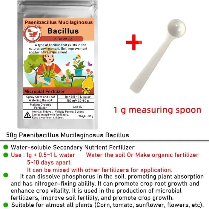 Fertilisateur microbien biologique Paenibacillus Mucilaginous Bacillus