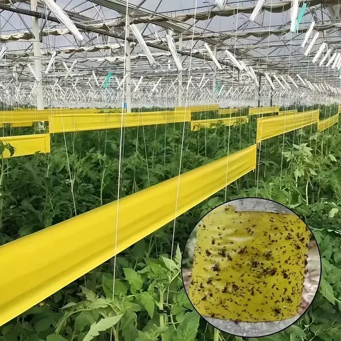 1 rouleau de ruban adhésif Double face pour barrière contre les insectes
