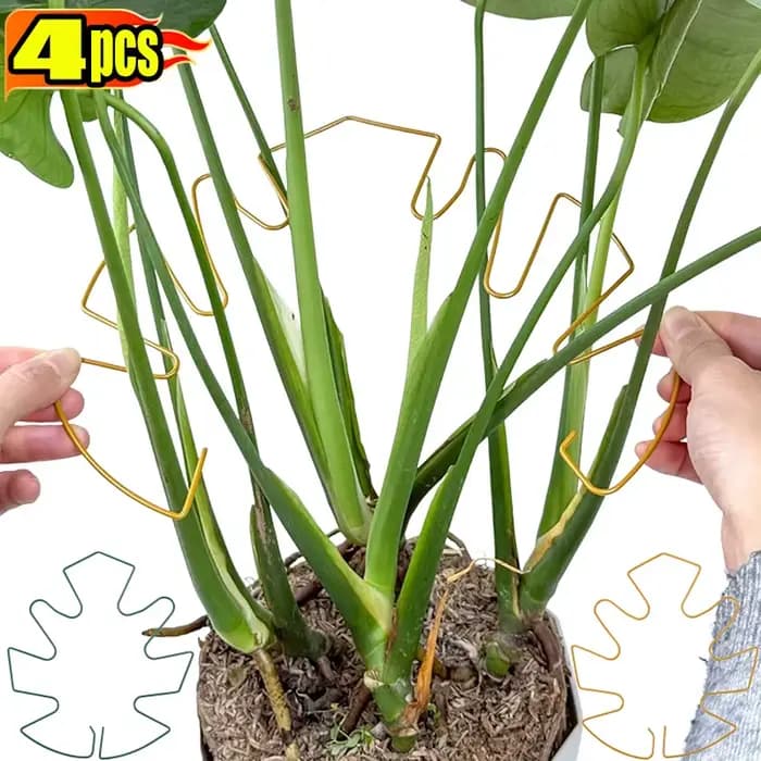 Monstera – Support de tige de plante