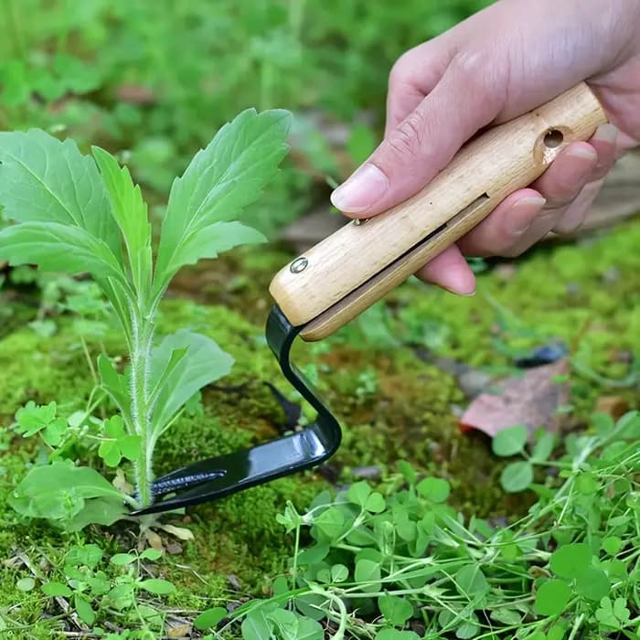 1 Outil de désherbage manuel - Fourche en métal durable avec manche en bois pour une élimination facile des pissenlits