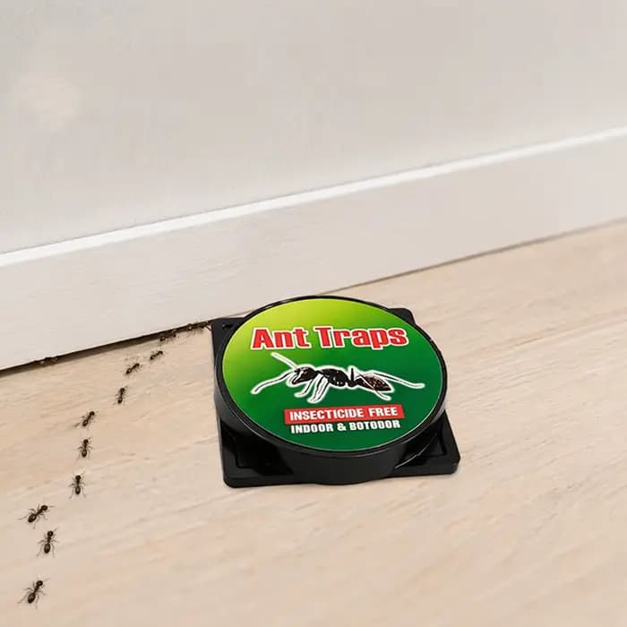 Piège à fourmis 9 pièces : Élimine