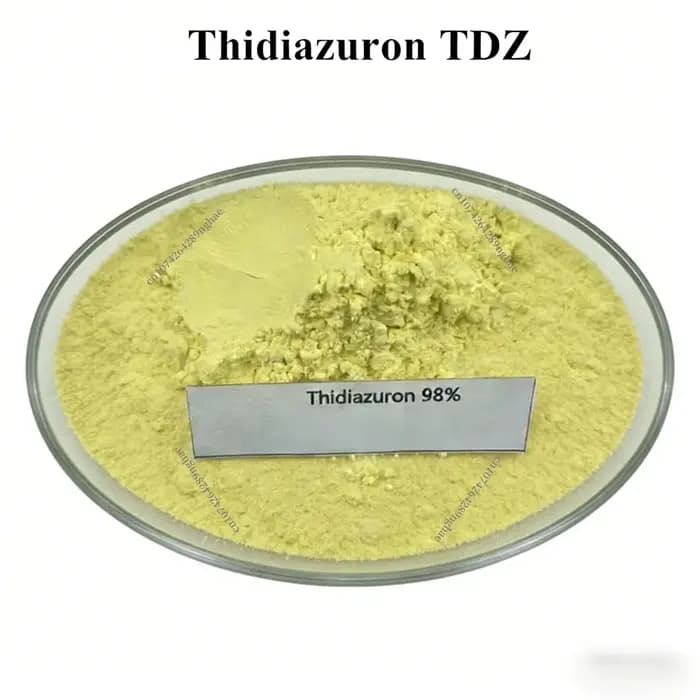 Thidiazuron TDZ 98% TC Haute Pureté à Bas Prix Livraison Gratuite
