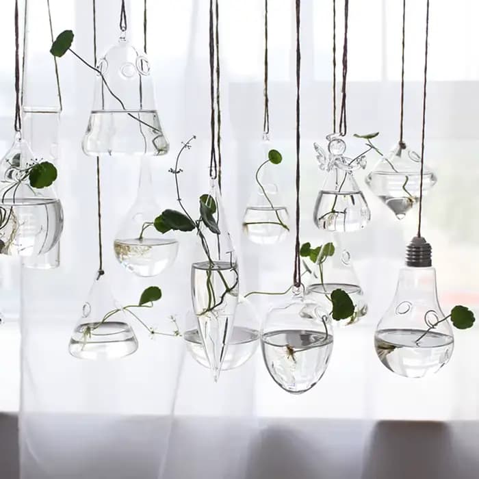 Support en verre transparent pour plantes à fleurs