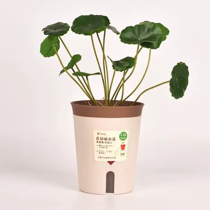 Pot de fleur hydroponique paresseux en plastique